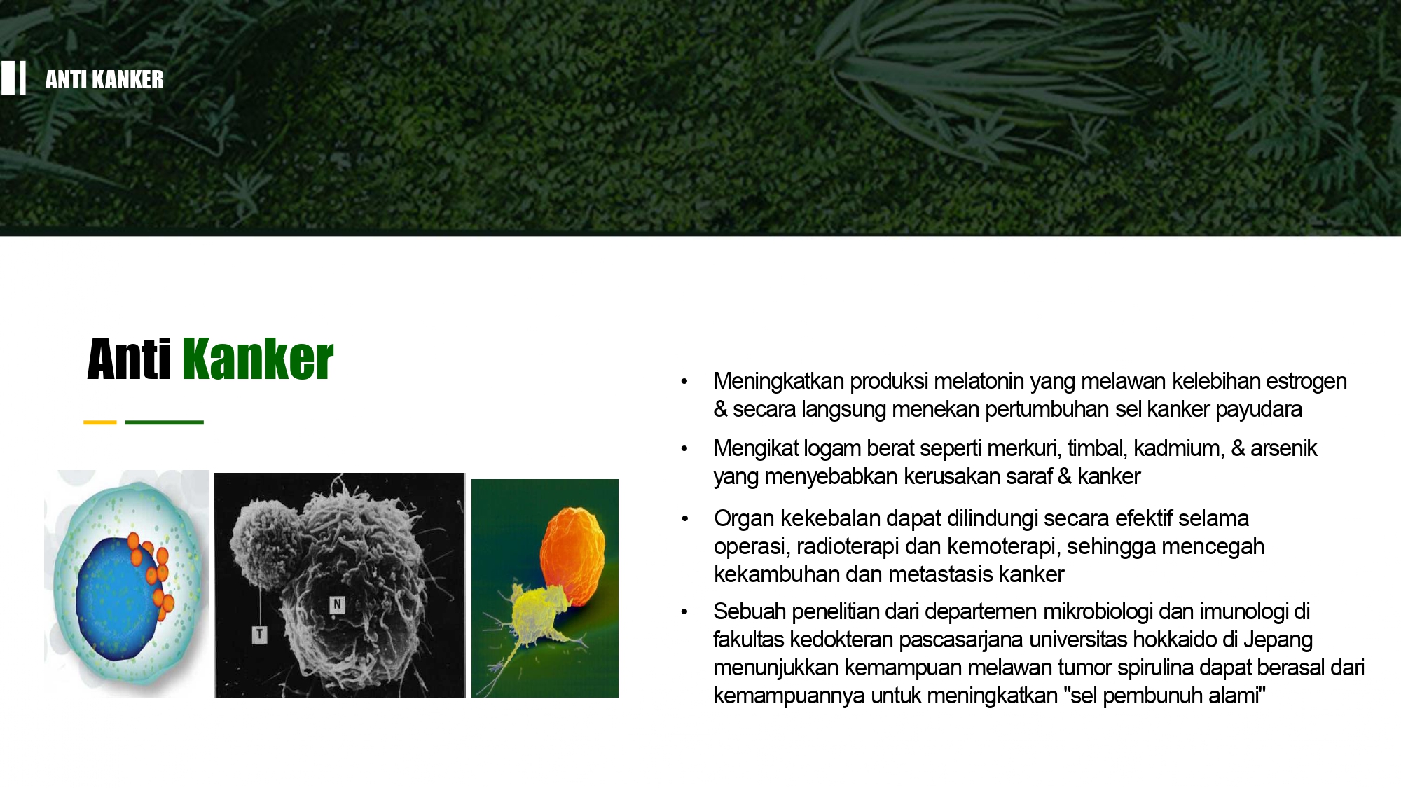 Education content image